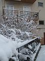 Neve (46)